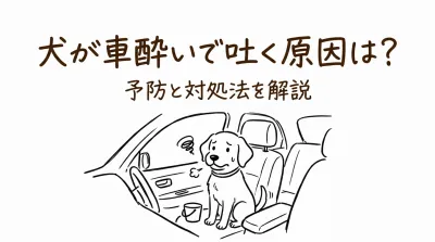 犬が車酔いで吐く原因は？予防と対処法を解説