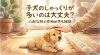 子犬のしゃっくりが多いのは大丈夫？心配な時の見極め方も解説