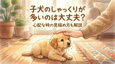 子犬のしゃっくりが多いのは大丈夫？心配な時の見極め方も解説