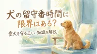 犬の留守番時間に限界はある？愛犬を守る正しい知識を解説